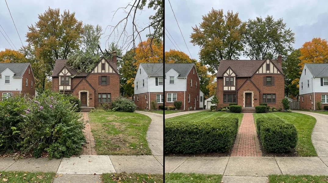 How Long Do Akron's Trees Live? Silver Maple, Pin Oak and Sugar Maple Lifespans